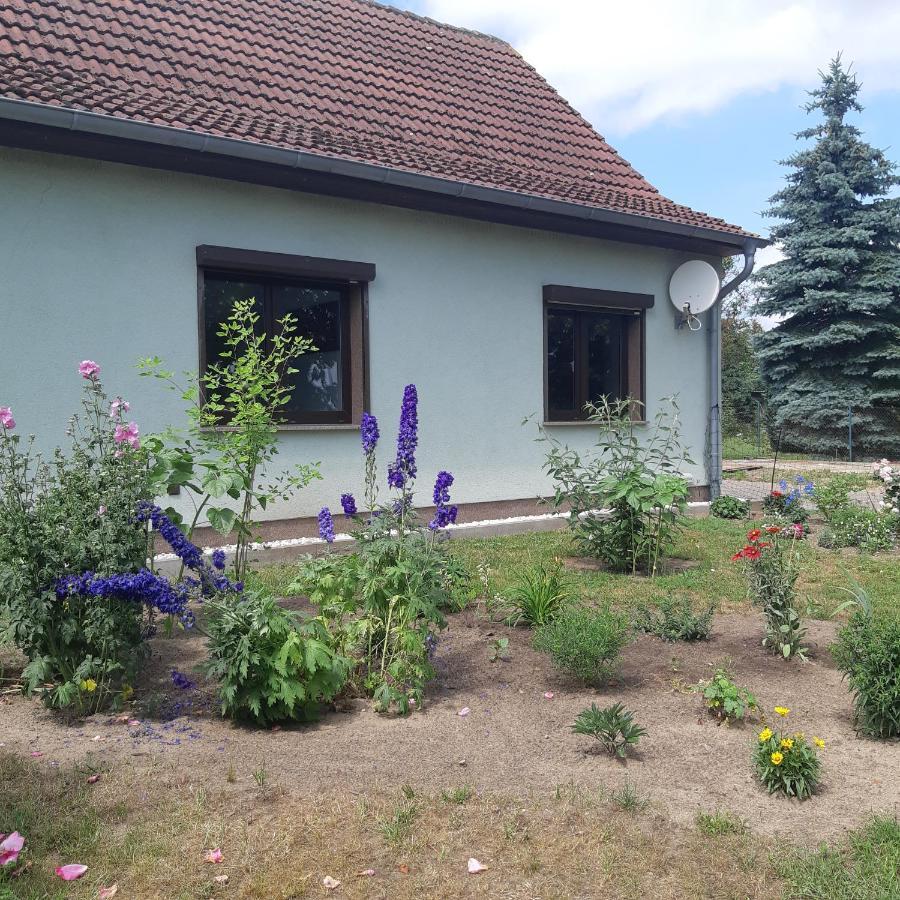 Ferienwohnung Am Scheunenkaffee Kachlin Dargen Εξωτερικό φωτογραφία